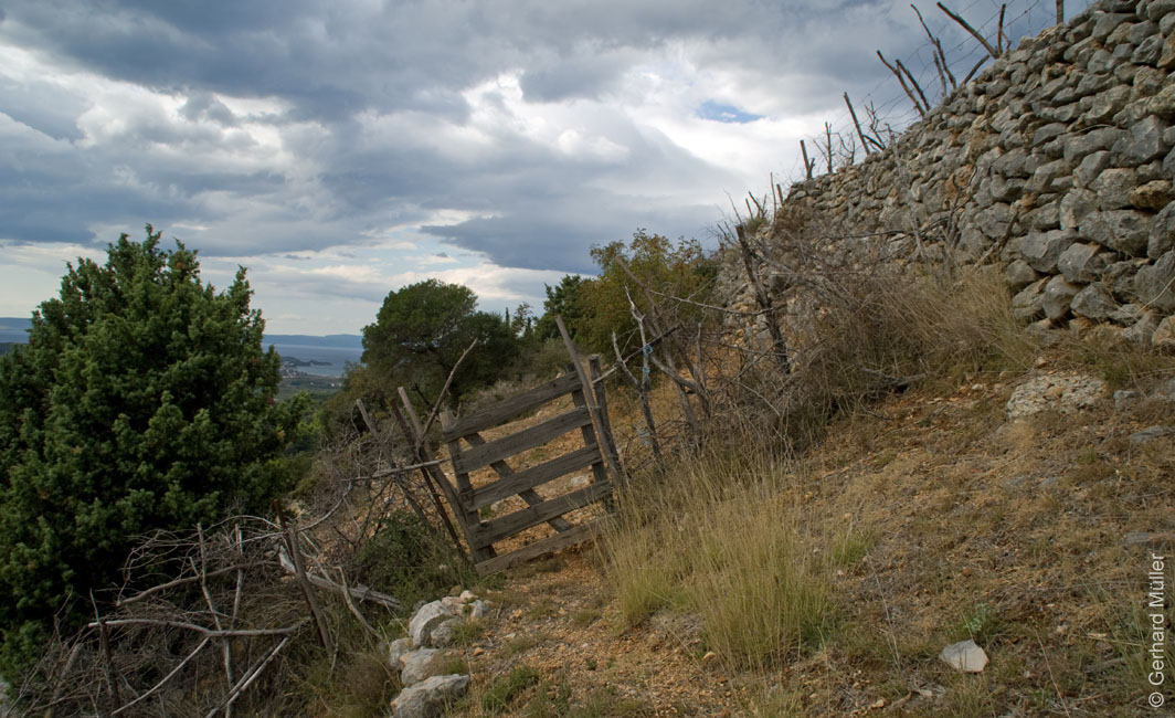 Rab 2011_02_Kamenjak_010