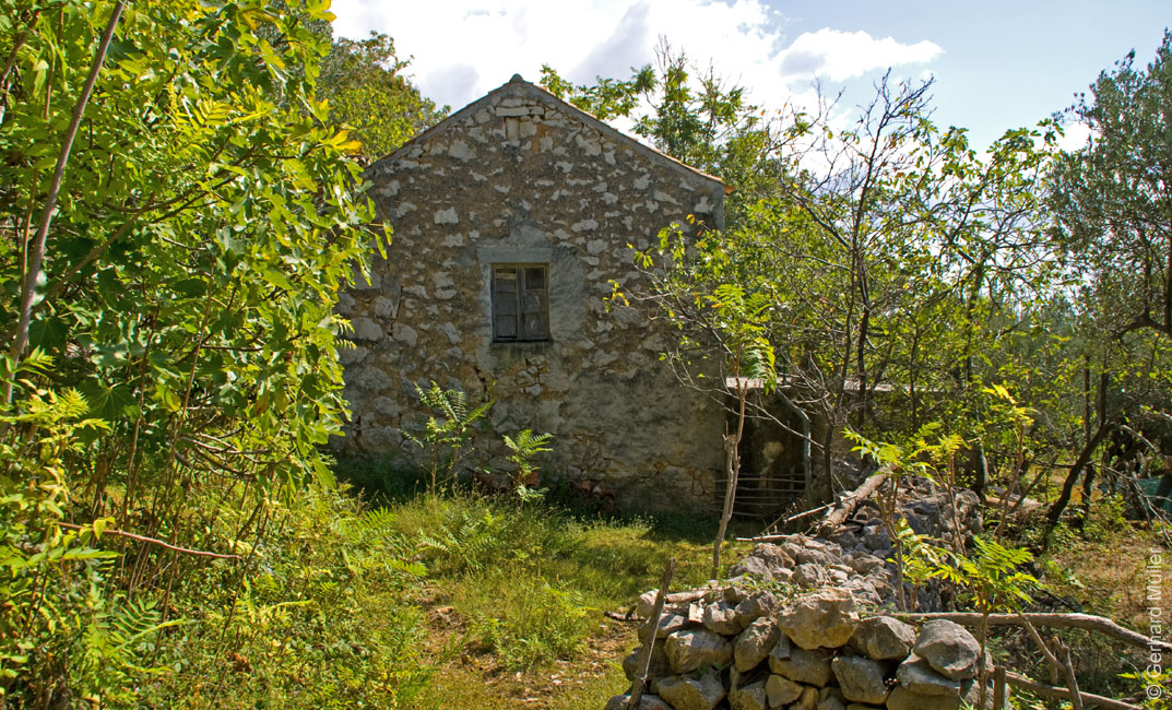 Rab 2011_02_Kamenjak_016
