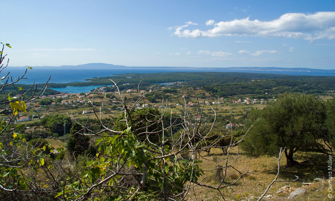 Rab 2011_02_Kamenjak_017