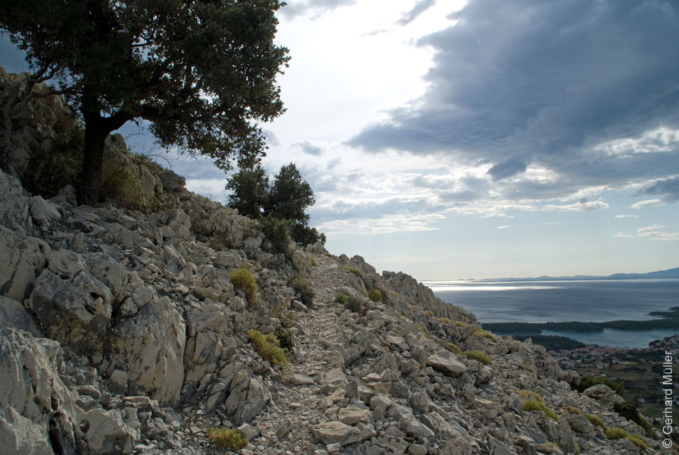 Rab 2011_02_Kamenjak_021