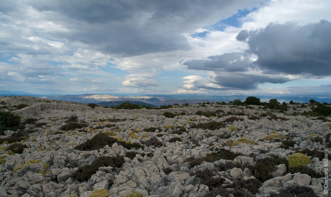 Rab 2011_02_Kamenjak_037