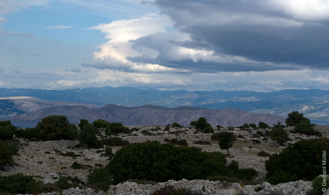 Rab 2011_02_Kamenjak_039