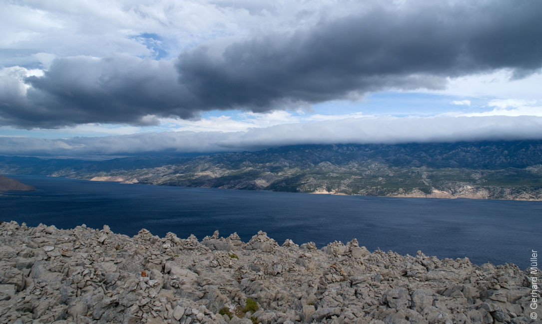 Rab 2011_02_Kamenjak_042