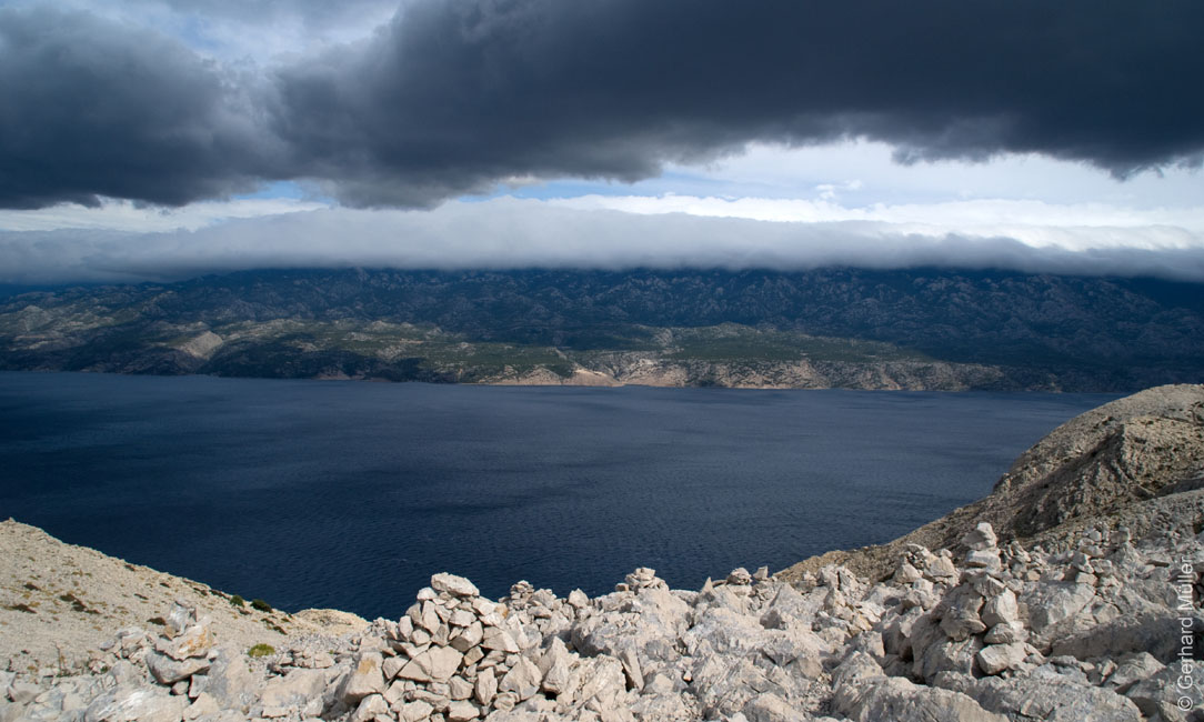 Rab 2011_02_Kamenjak_043