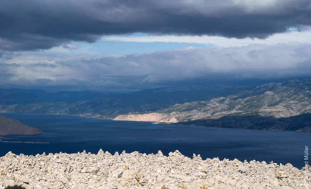 Rab 2011_02_Kamenjak_045