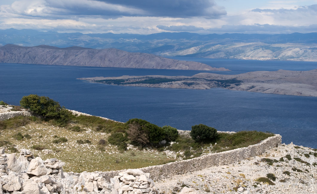 Rab 2011_02_Kamenjak_048