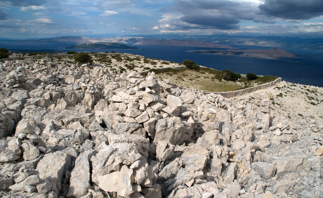 Rab 2011_02_Kamenjak_049