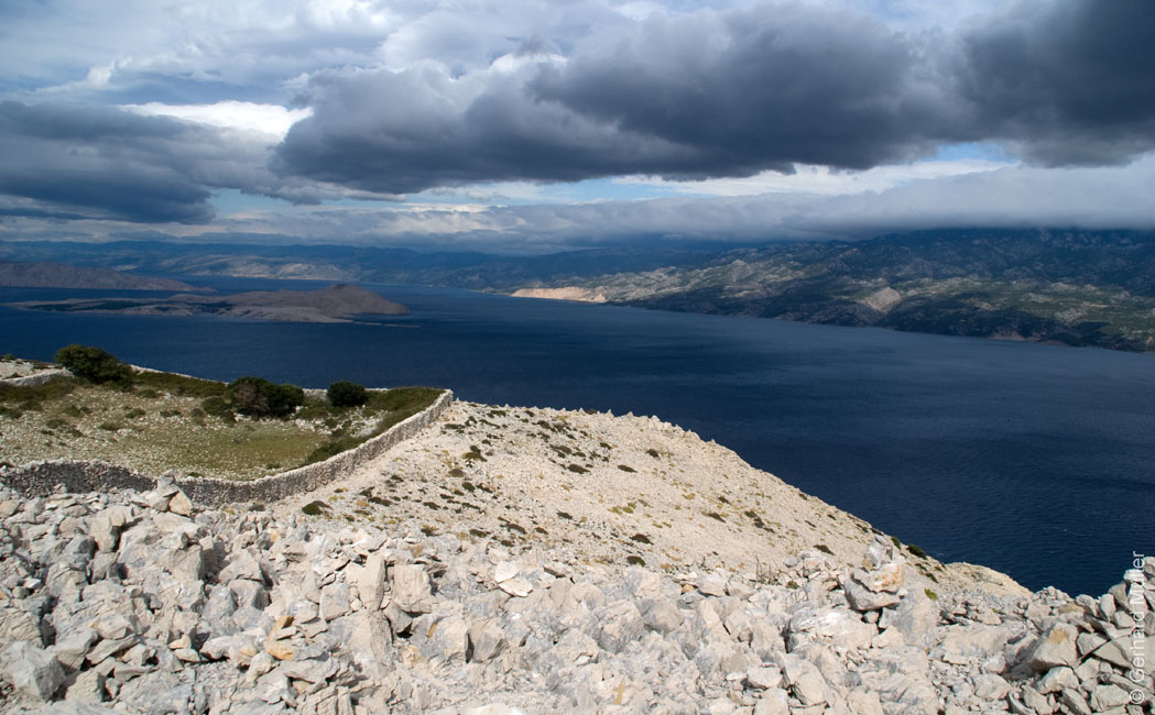 Rab 2011_02_Kamenjak_050