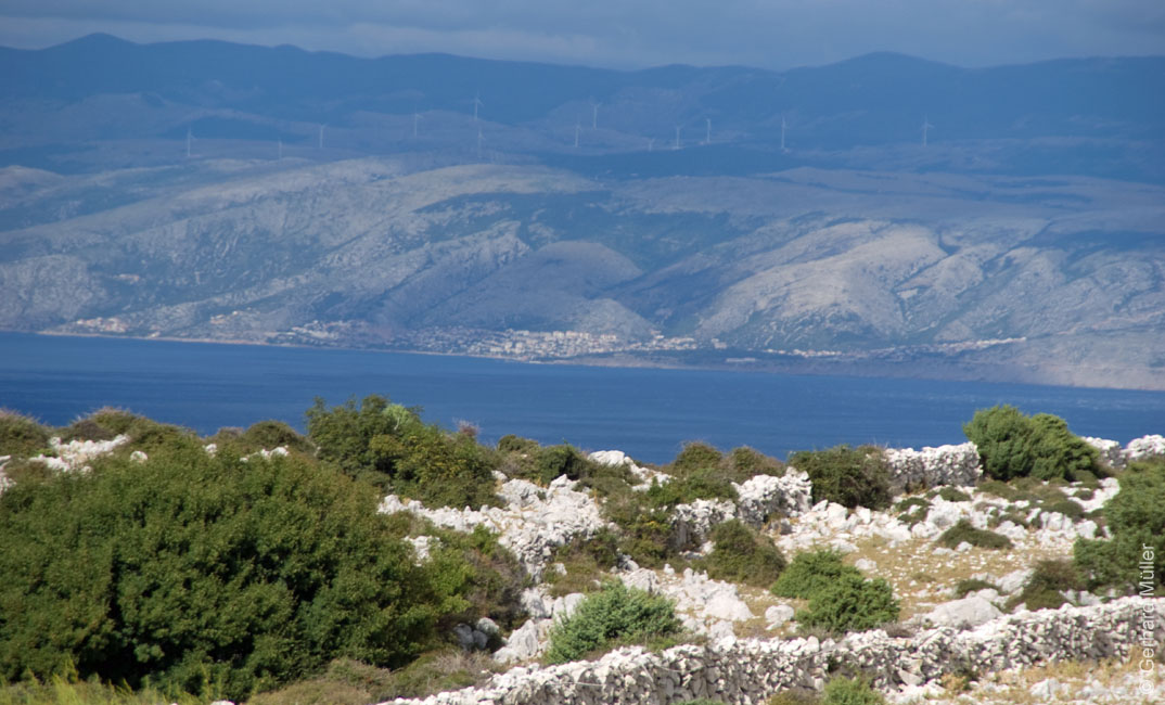 Rab 2011_02_Kamenjak_054