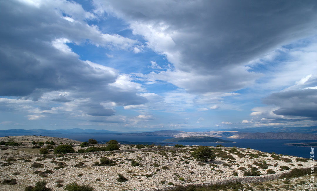 Rab 2011_02_Kamenjak_055
