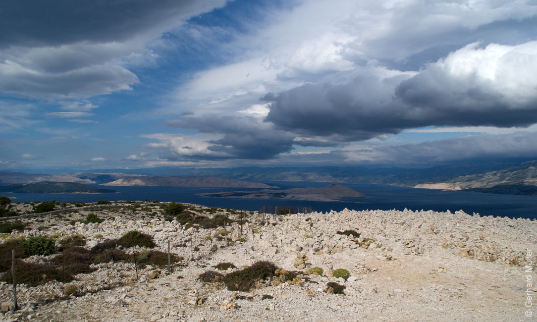 Rab 2011_02_Kamenjak_059