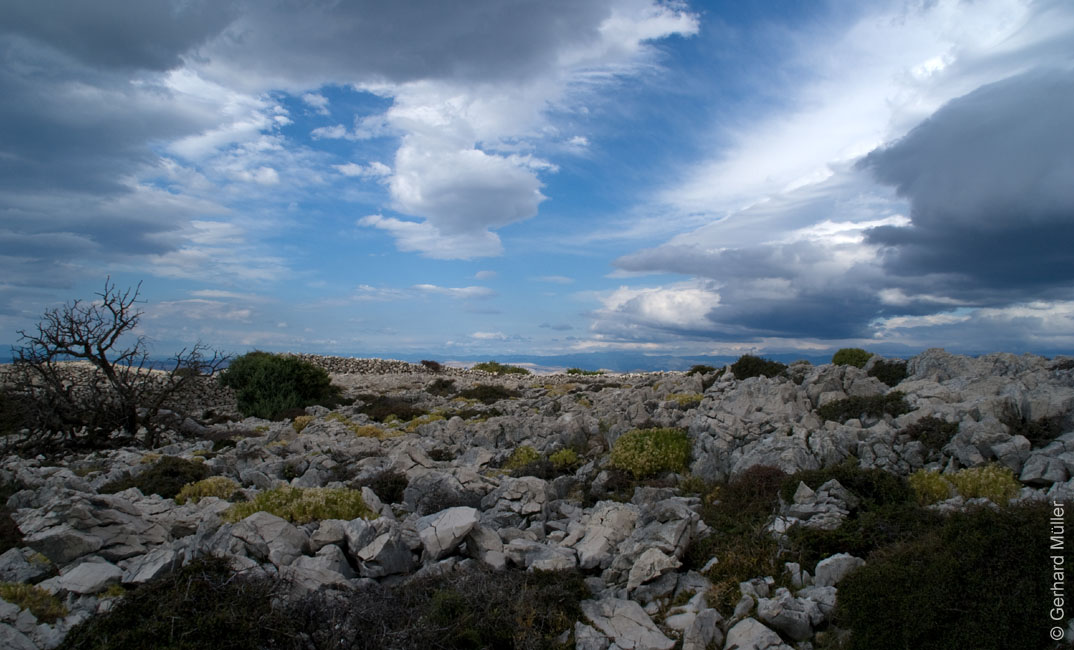 Rab 2011_02_Kamenjak_062