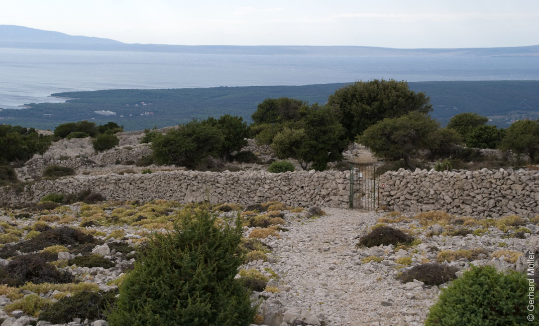 Rab 2011_02_Kamenjak_064