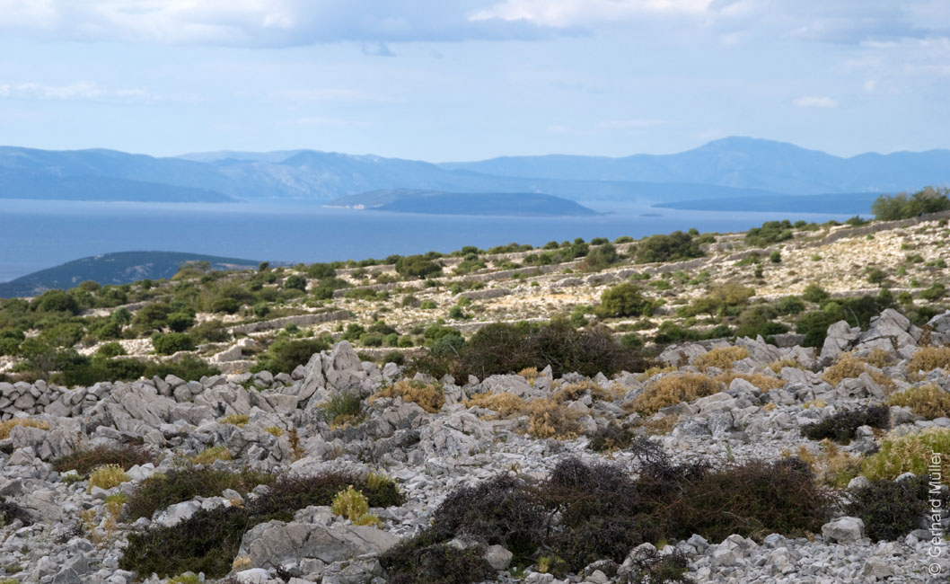 Rab 2011_02_Kamenjak_065