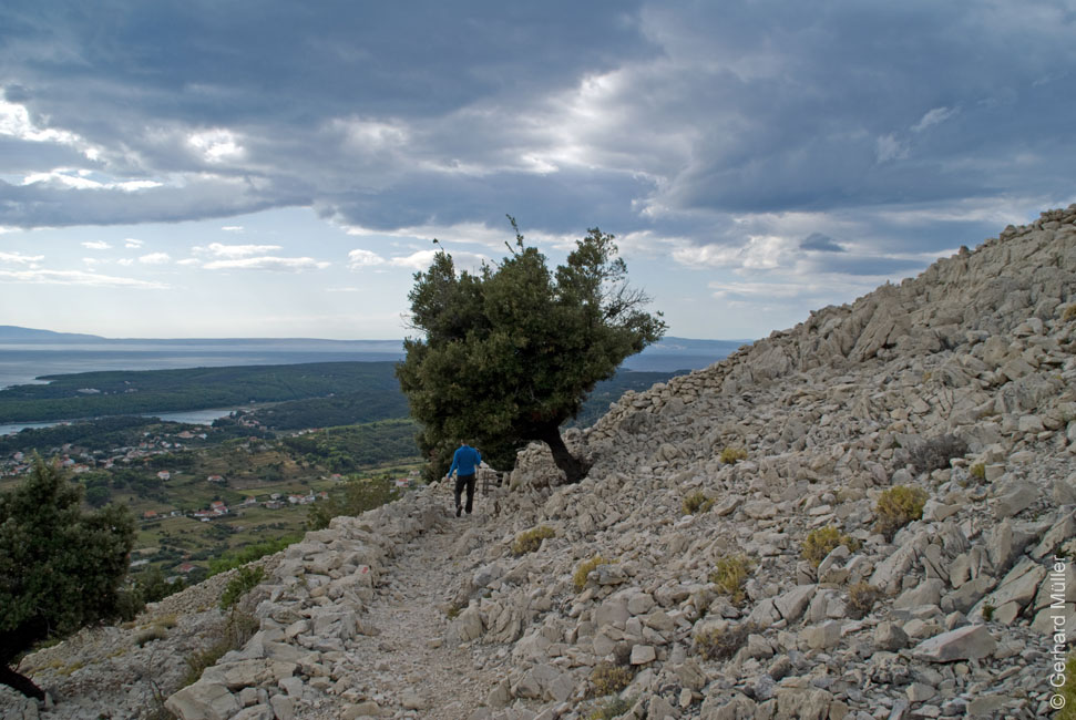 Rab 2011_02_Kamenjak_067