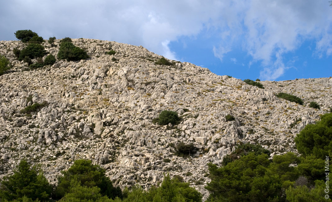 Rab 2011_02_Kamenjak_068