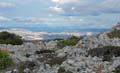 Rab 2011_02_Kamenjak_035