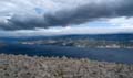 Rab 2011_02_Kamenjak_042