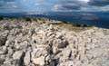Rab 2011_02_Kamenjak_049