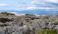 Rab 2011_02_Kamenjak_063