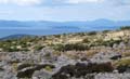 Rab 2011_02_Kamenjak_065