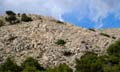 Rab 2011_02_Kamenjak_068
