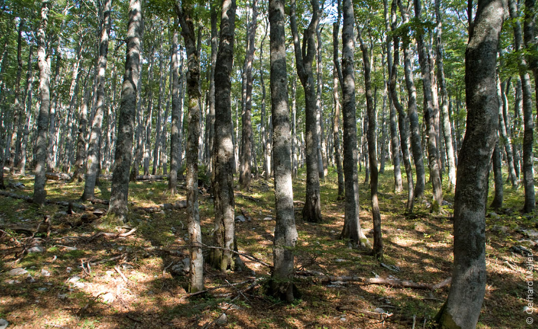 Rab 2011_03_Velebit_005