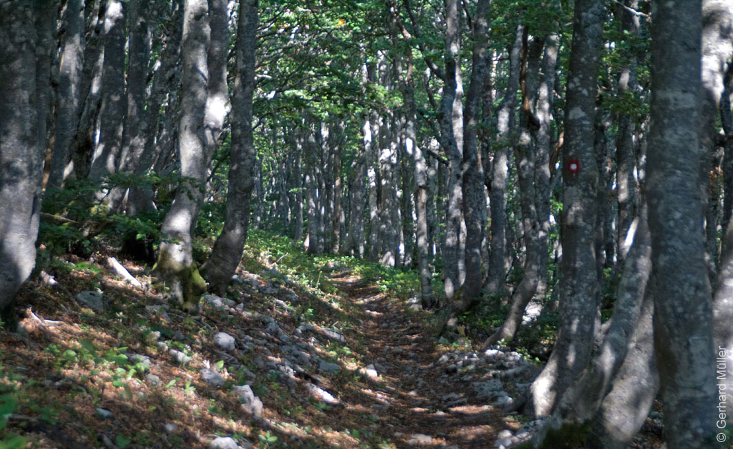 Rab 2011_03_Velebit_006