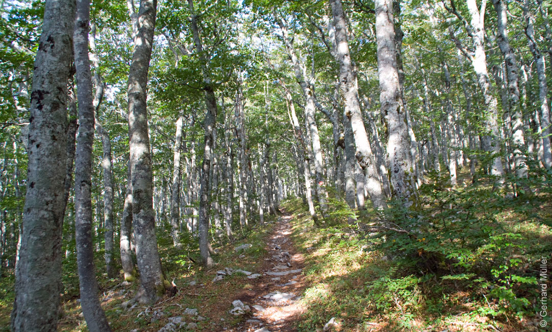 Rab 2011_03_Velebit_007