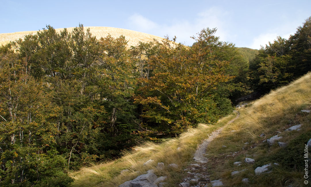 Rab 2011_03_Velebit_008