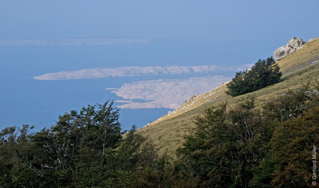 Rab 2011_03_Velebit_009