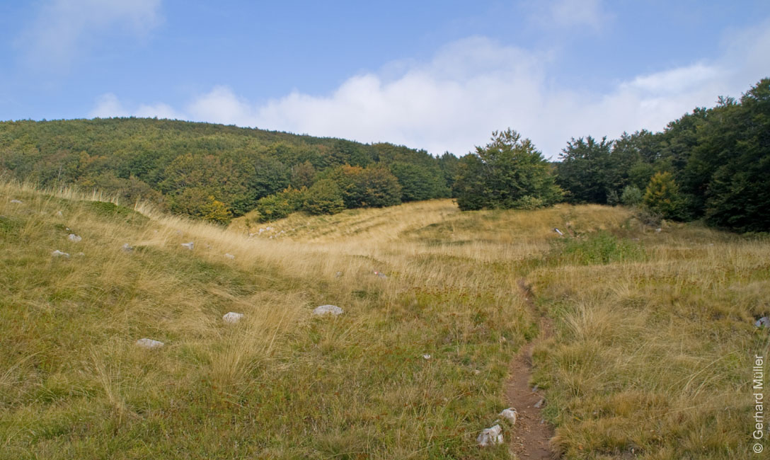 Rab 2011_03_Velebit_011
