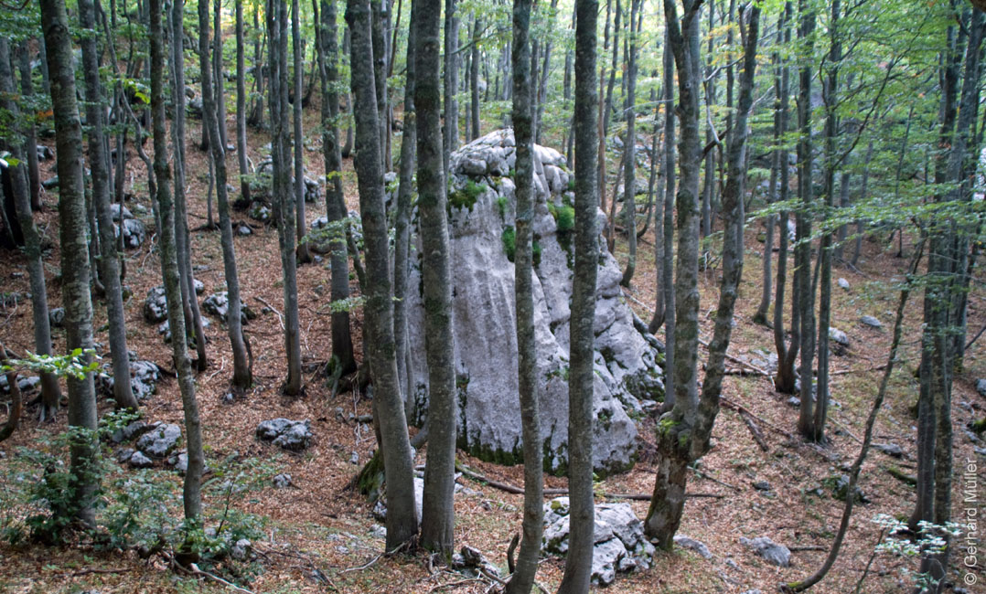 Rab 2011_03_Velebit_017