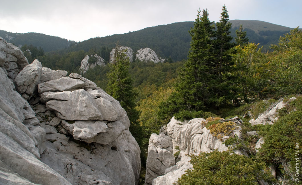 Rab 2011_03_Velebit_018