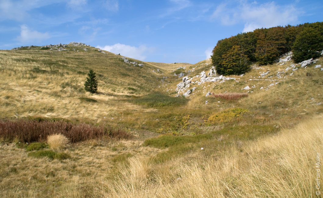 Rab 2011_03_Velebit_020