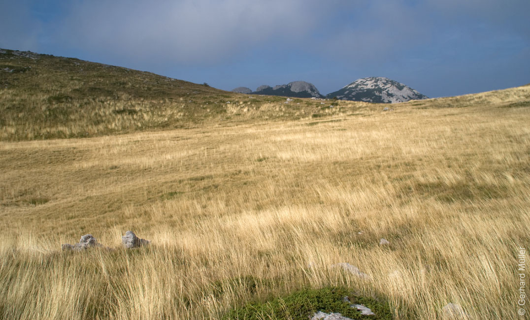 Rab 2011_03_Velebit_022