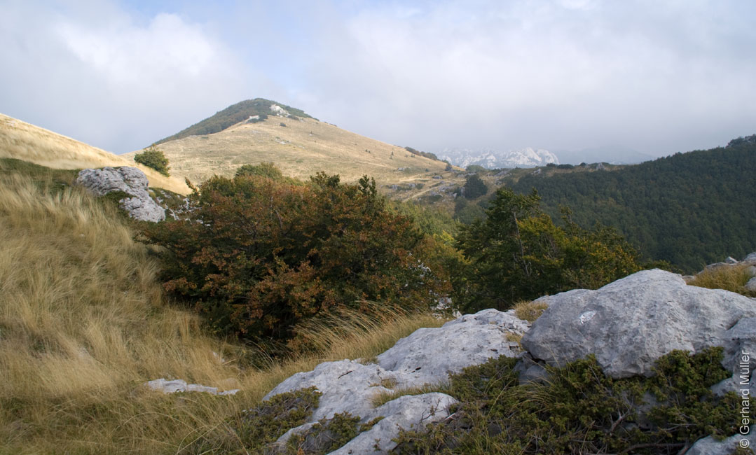 Rab 2011_03_Velebit_025