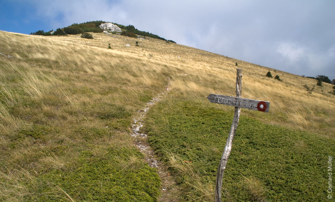 Rab 2011_03_Velebit_029