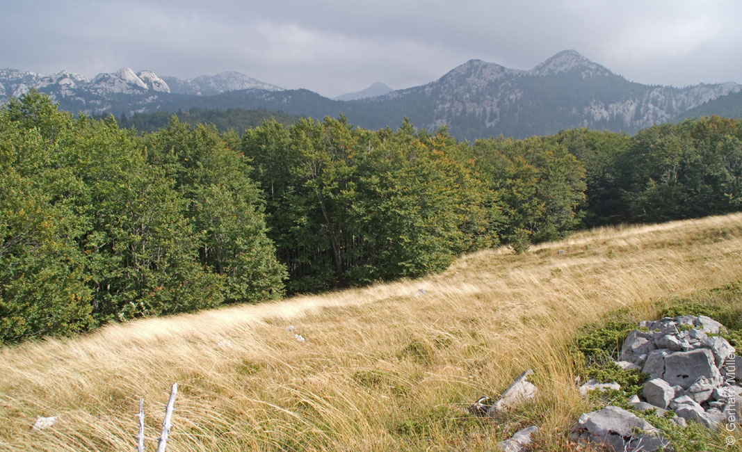 Rab 2011_03_Velebit_030