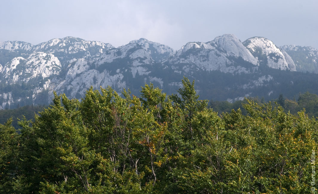 Rab 2011_03_Velebit_031