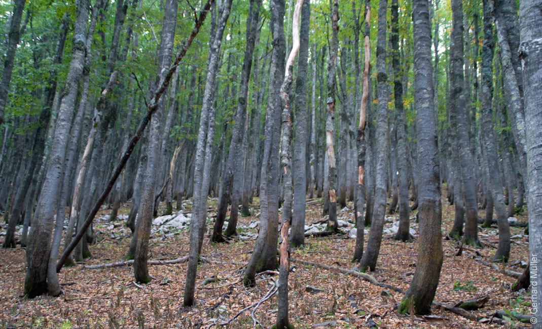 Rab 2011_03_Velebit_037
