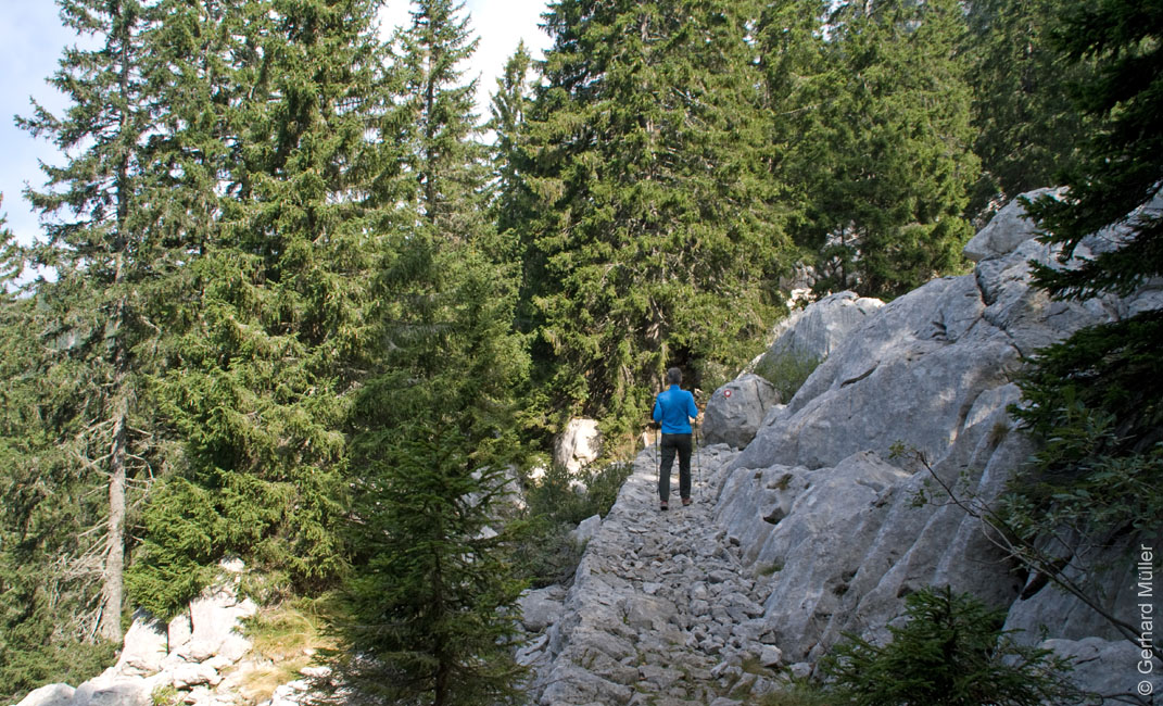 Rab 2011_03_Velebit_038