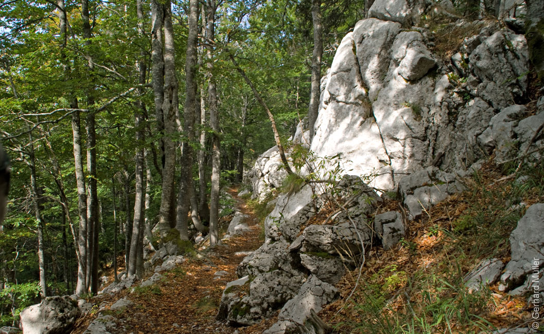 Rab 2011_03_Velebit_042