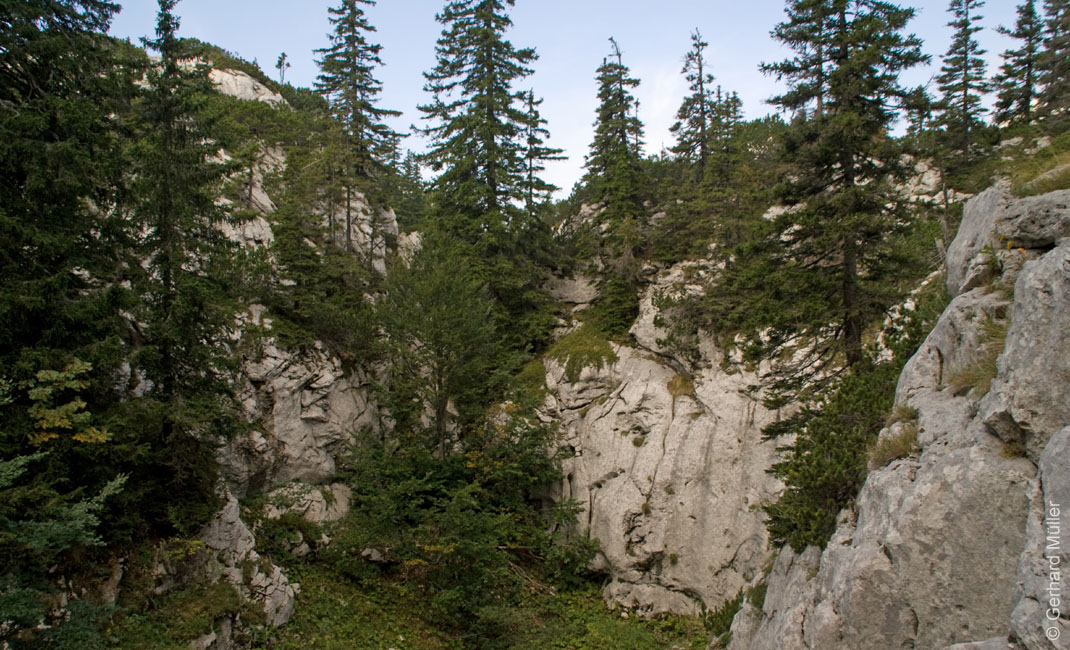 Rab 2011_03_Velebit_044
