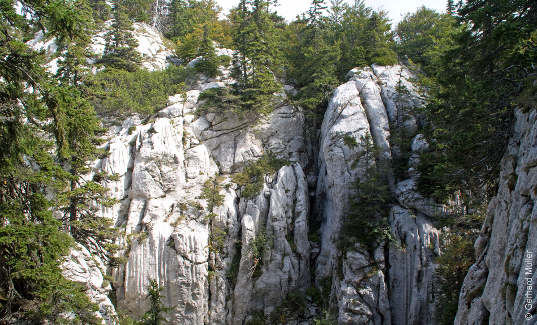 Rab 2011_03_Velebit_045