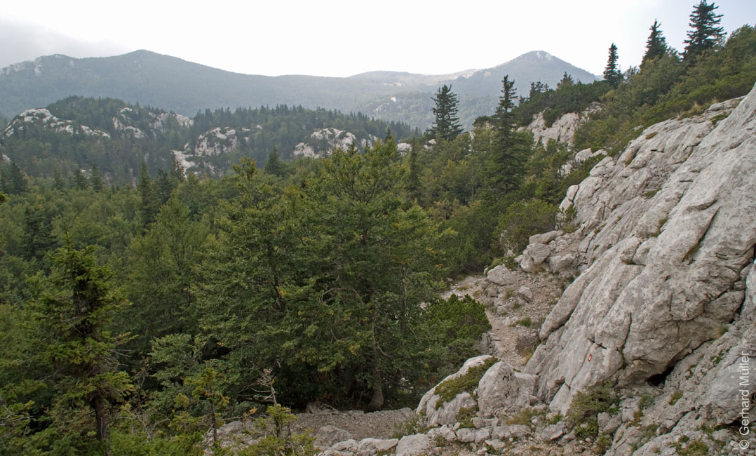 Rab 2011_03_Velebit_047