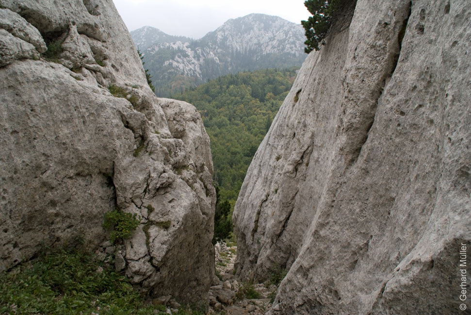 Rab 2011_03_Velebit_050