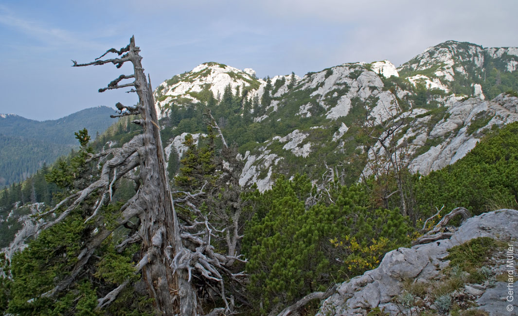 Rab 2011_03_Velebit_054
