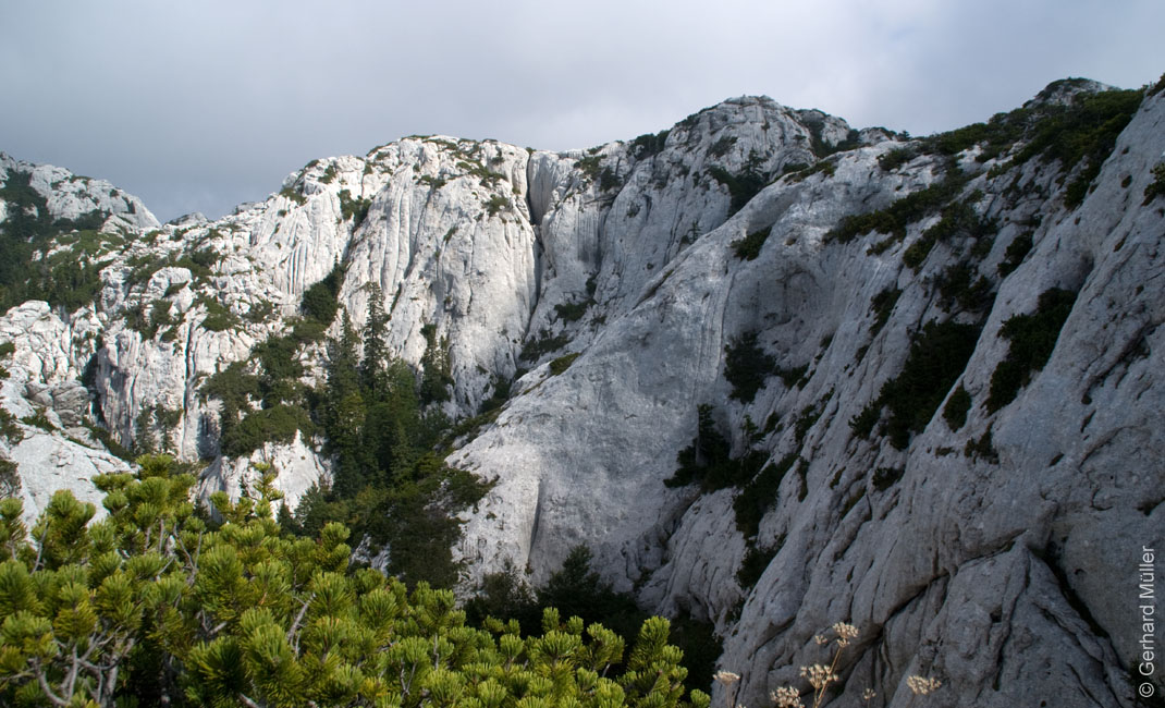 Rab 2011_03_Velebit_055