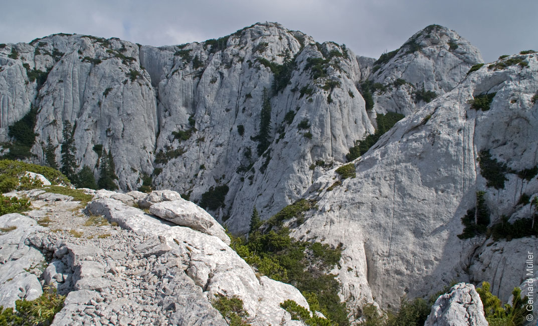 Rab 2011_03_Velebit_059